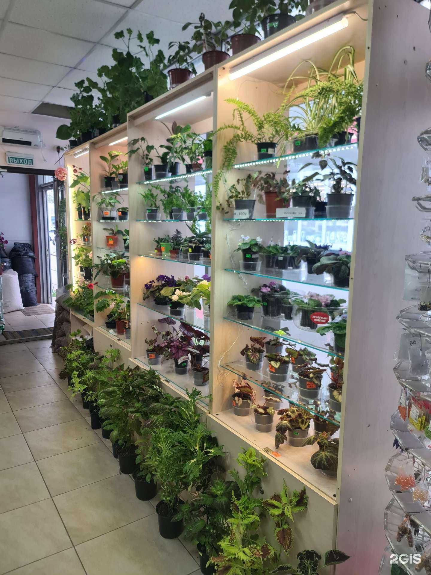 Отзывы на компанию Меланж в Ульяновске c фото