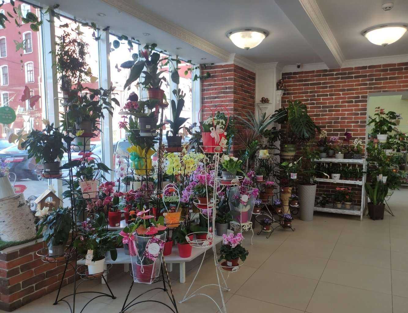 Отзывы на компанию Планета цветов в г. Орехово-Зуево c фото