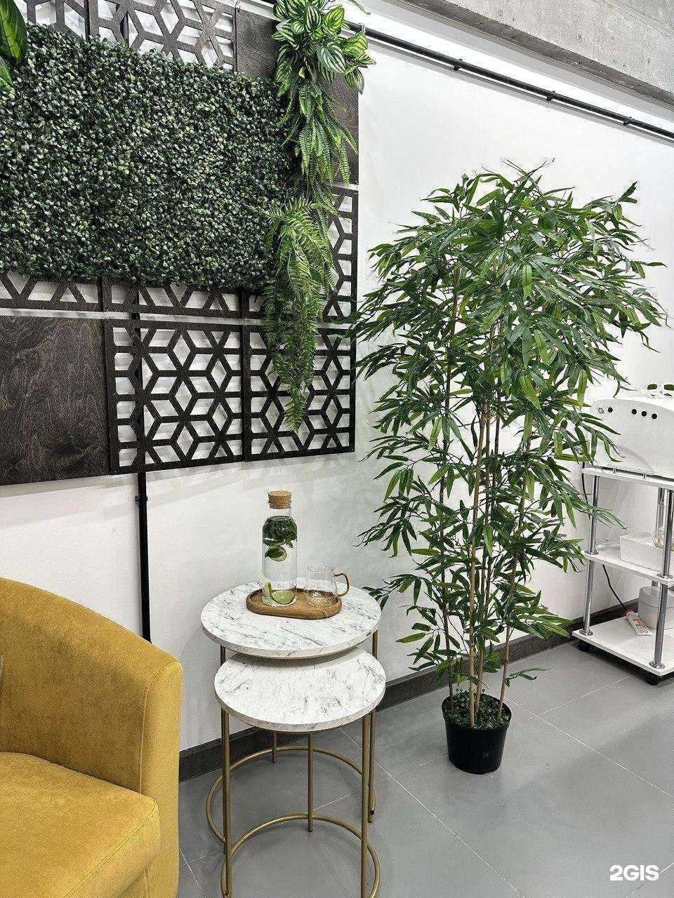 Отзывы на компанию Лазер Шарк в Казани c фото