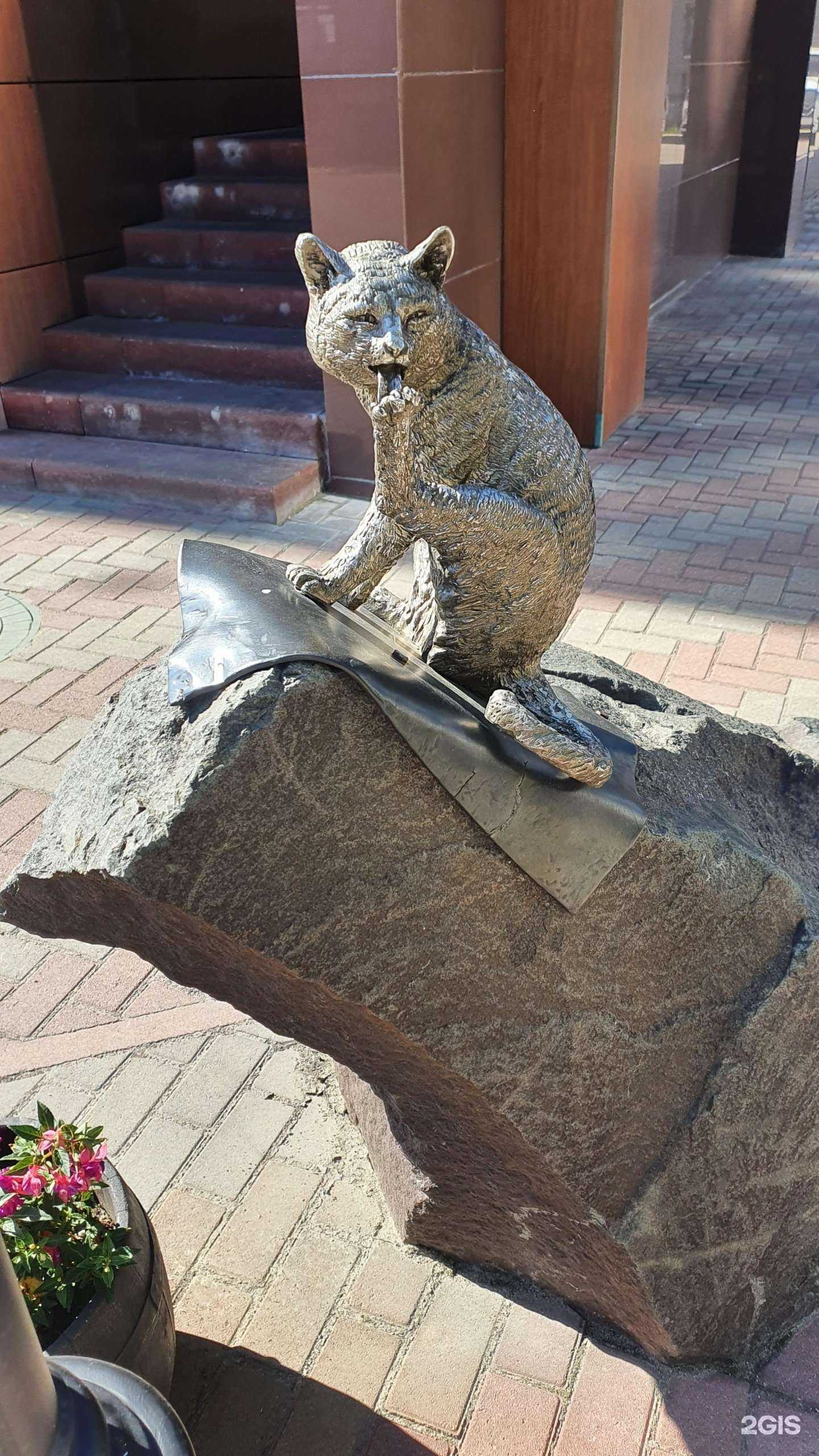 Отзывы на компанию Дворик Бродячей кошки в Череповце c фото