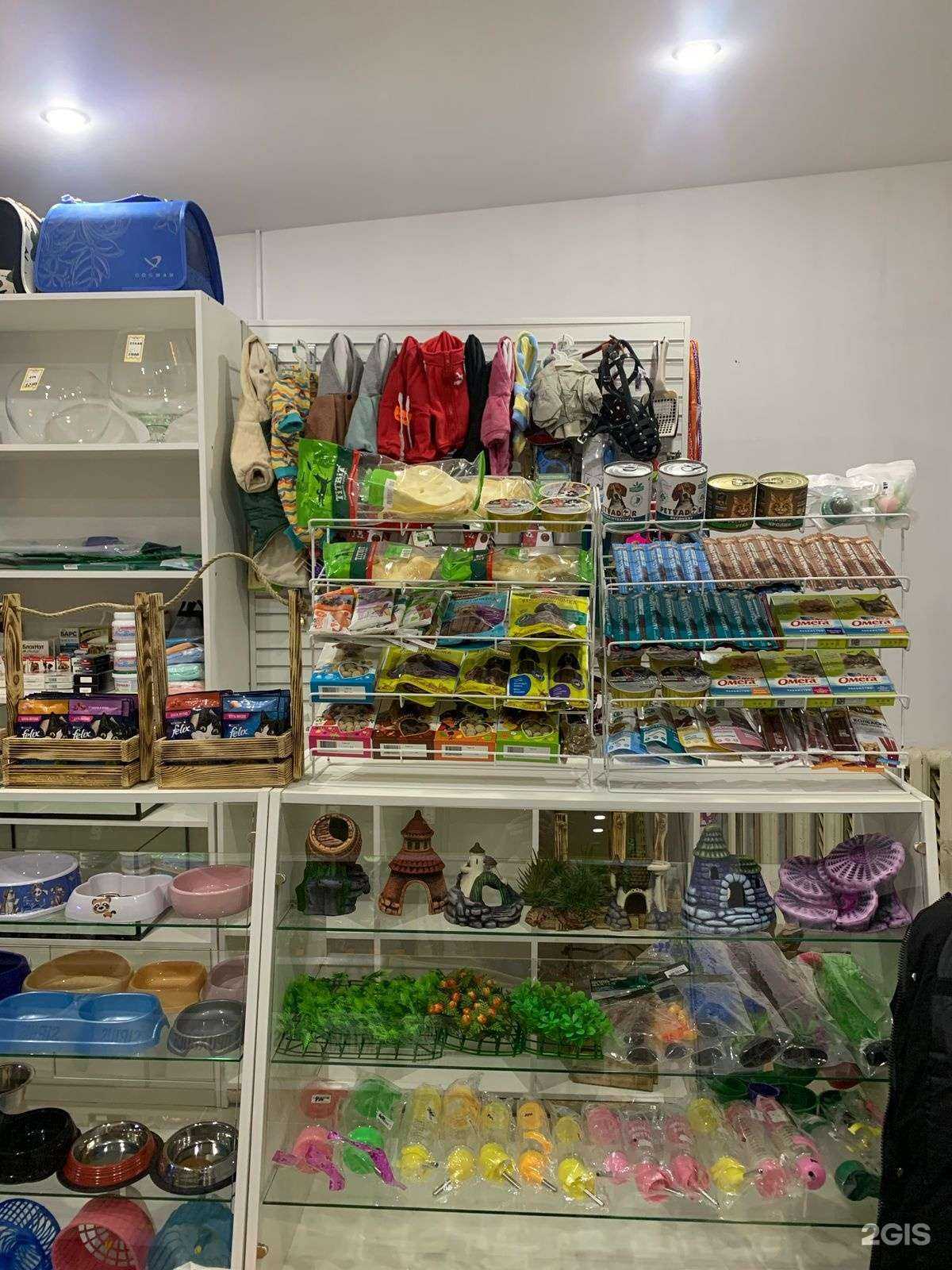 Отзывы на компанию Котопёс в Ставрополе c фото