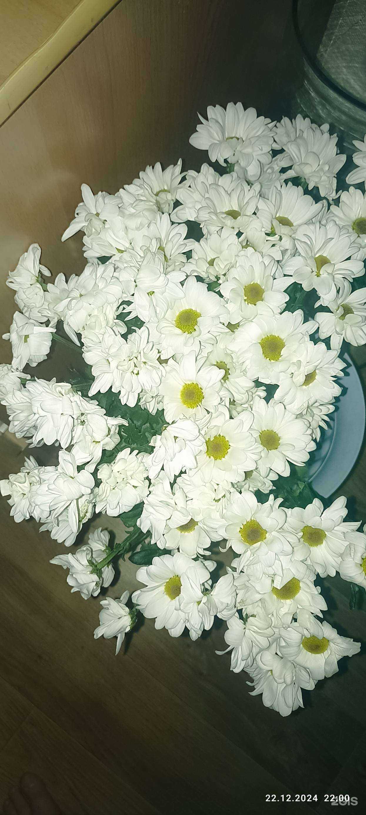 Отзывы на компанию 7 Цветов в Хабаровске c фото