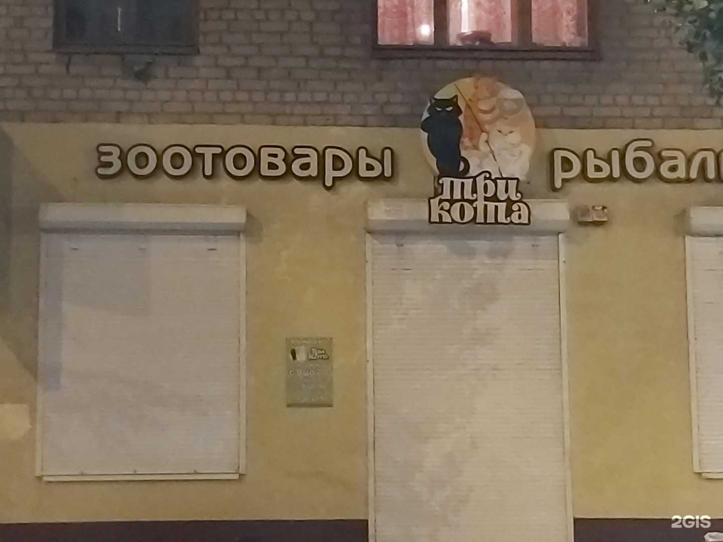 Отзывы на компанию Три кота в г. Воронеж c фото