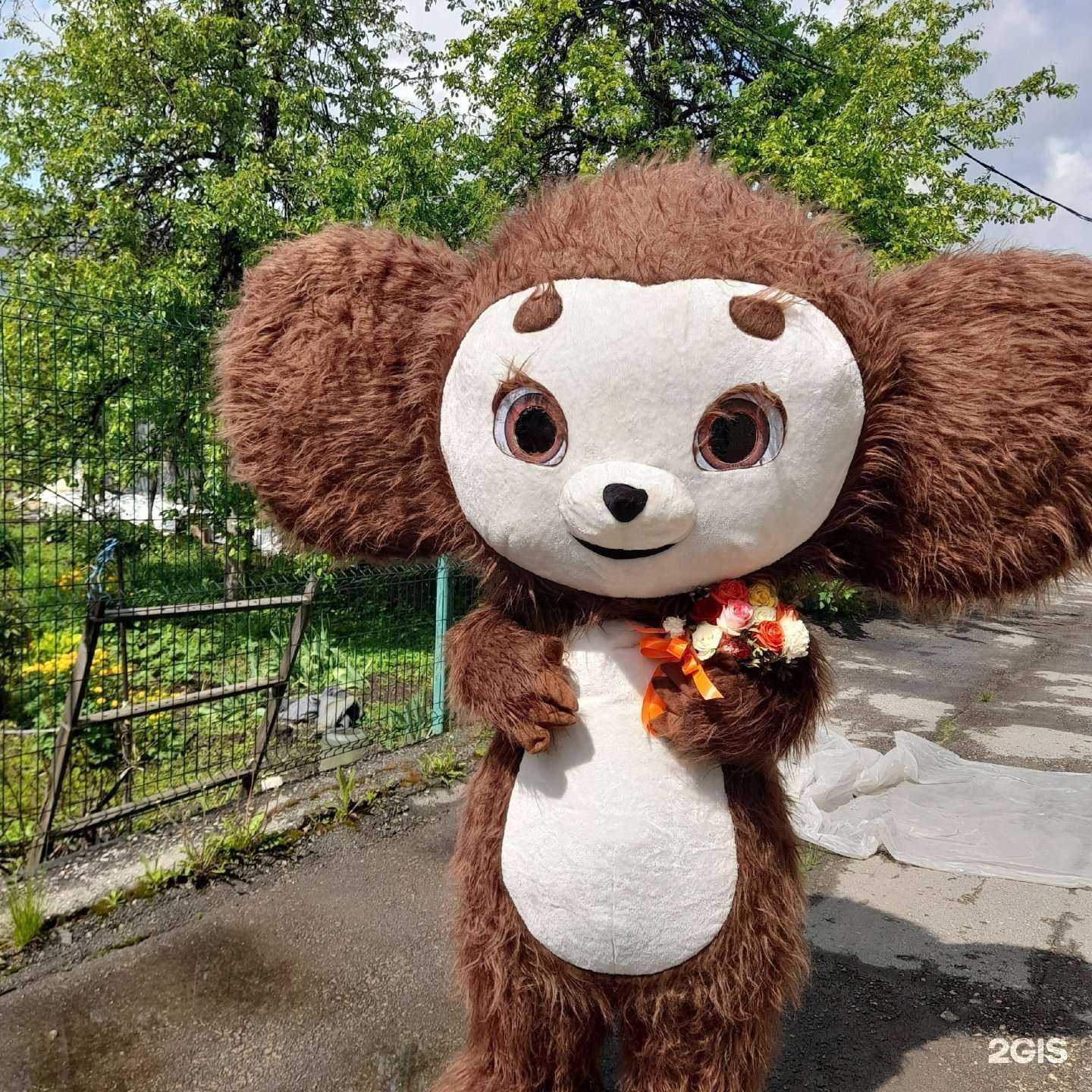 Отзывы на компанию Plush Boom в Рязани c фото