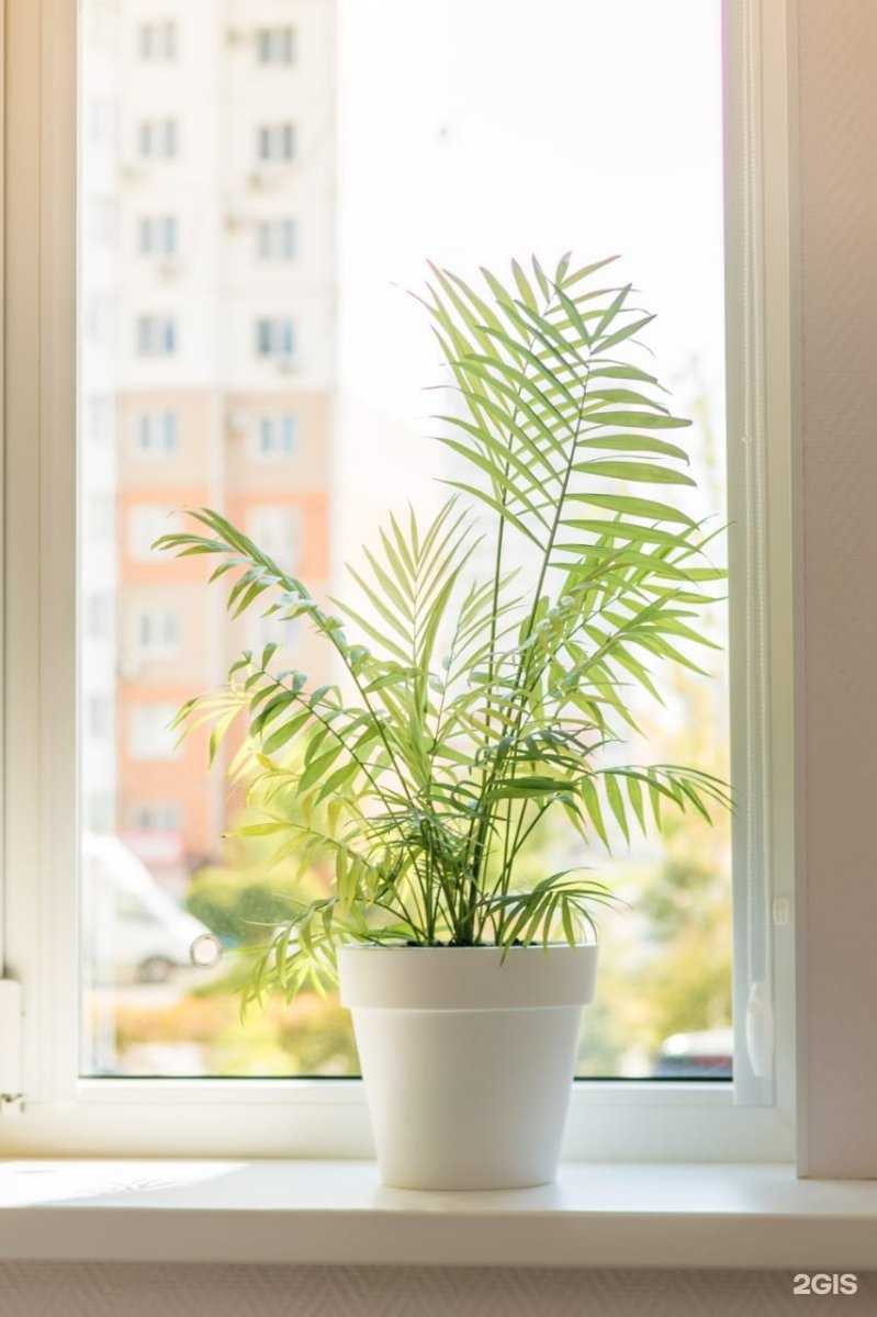 Отзывы на компанию Гнездо в Краснодаре c фото