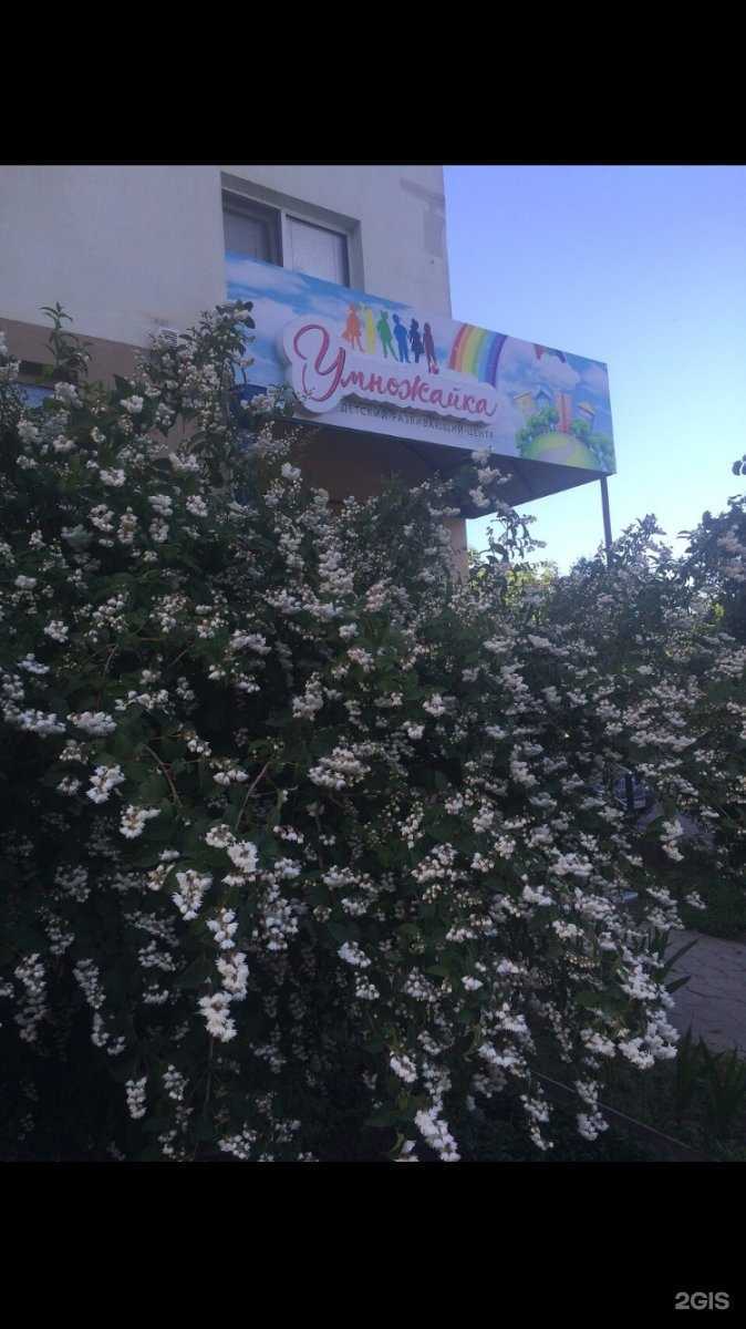 Отзывы на компанию Умножайка в Краснодаре c фото