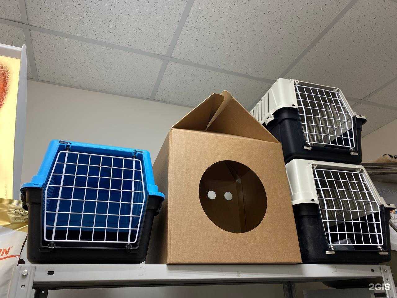 Отзывы на компанию Рыжий Песик в г. Якутск c фото