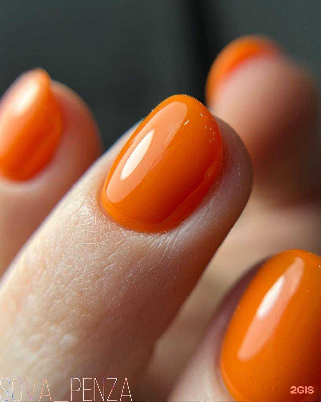 Отзывы на компанию Sova в г. Пенза c фото