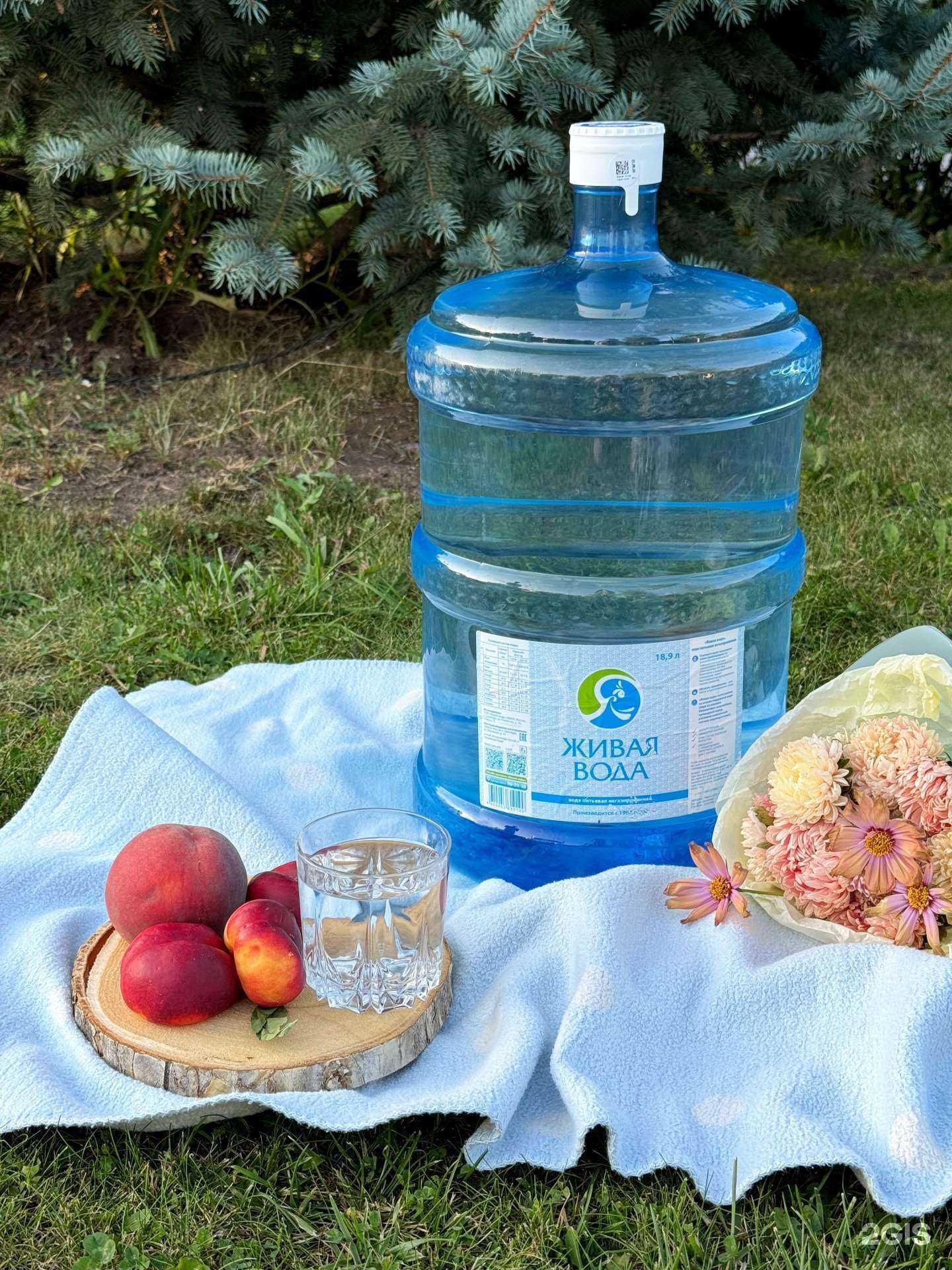 Отзывы на компанию Живая вода в г. Оренбург c фото