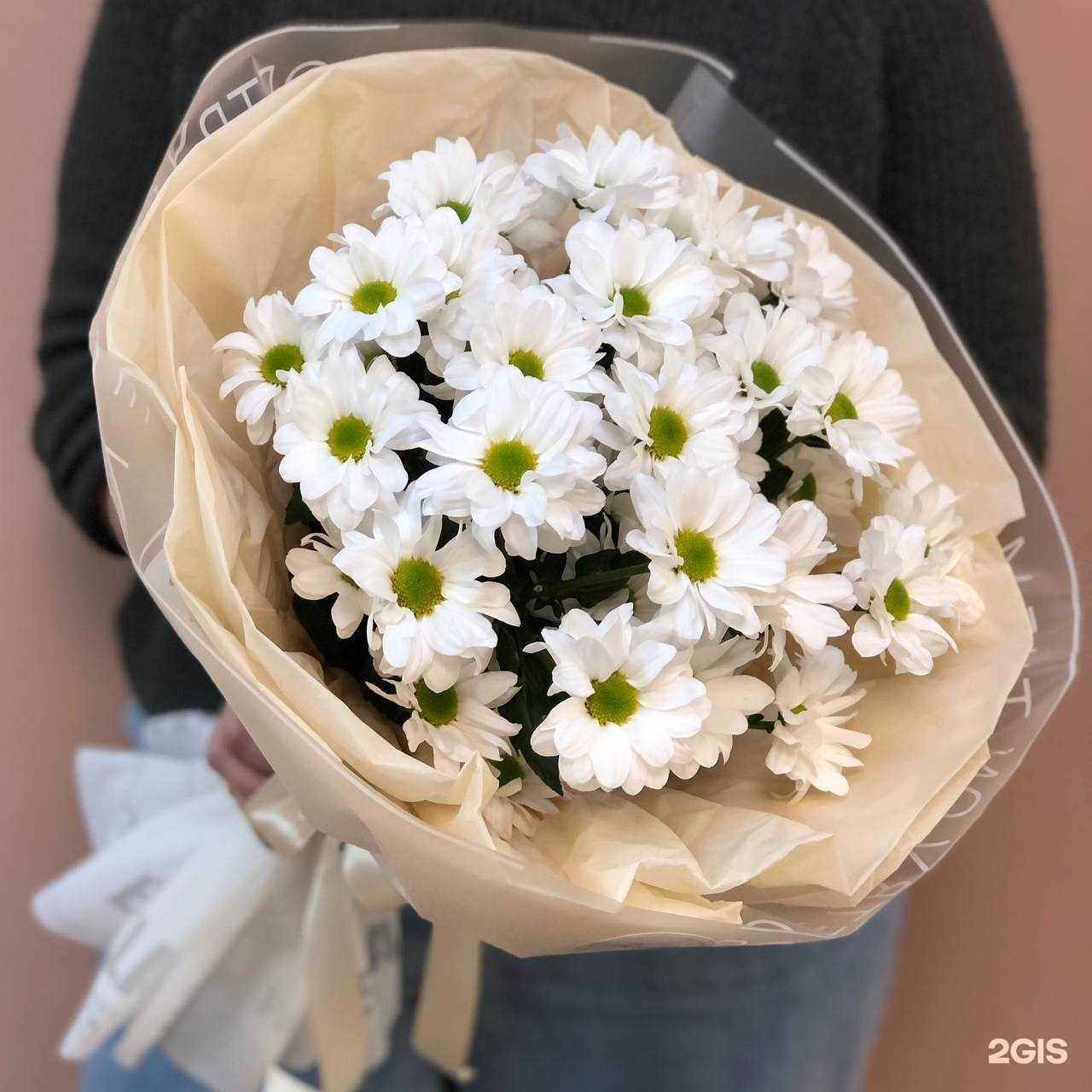 Отзывы на компанию Фиалка в г. Воронеж c фото