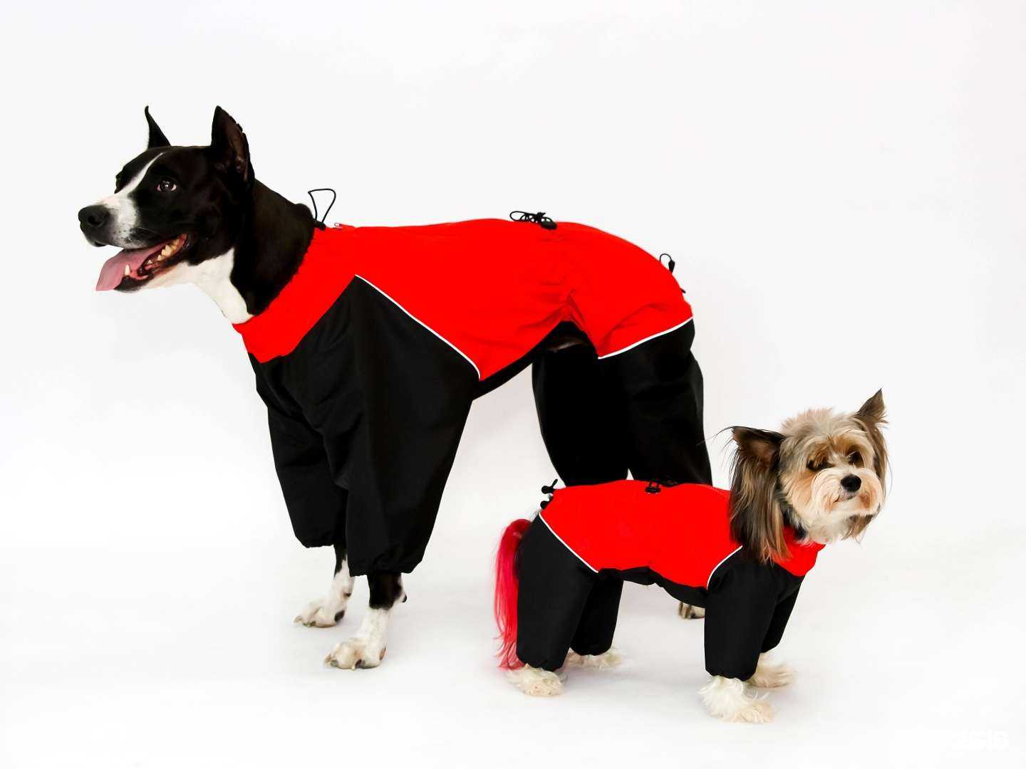 Отзывы на компанию FreshDog в г. Омск c фото