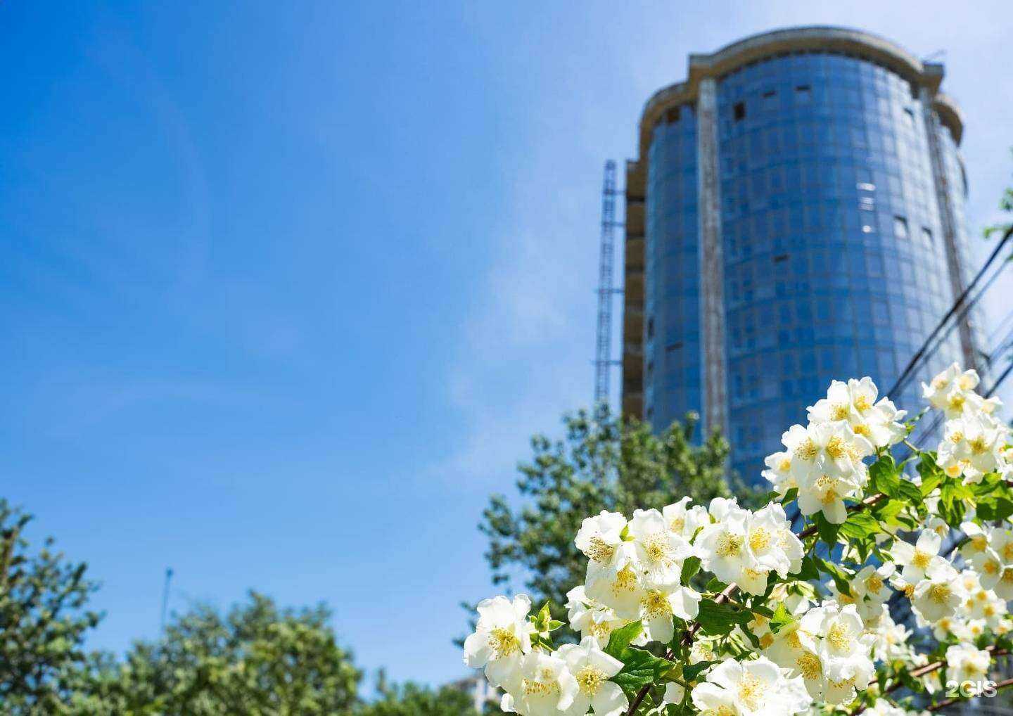 Отзывы на компанию Megapolis family в Грозном c фото