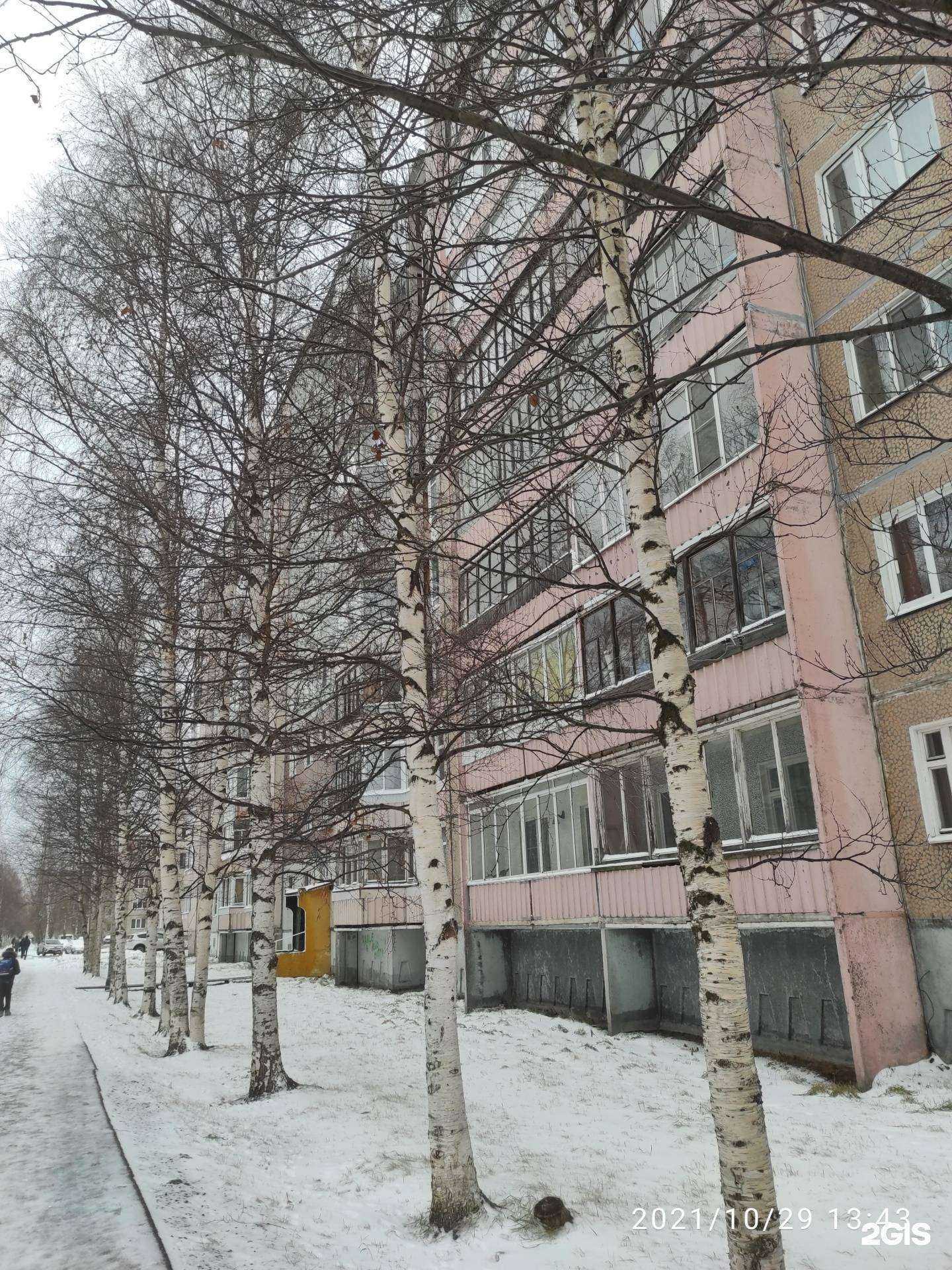 Отзывы на компанию У Алёны в Архангельске c фото - фотография 2 из 2