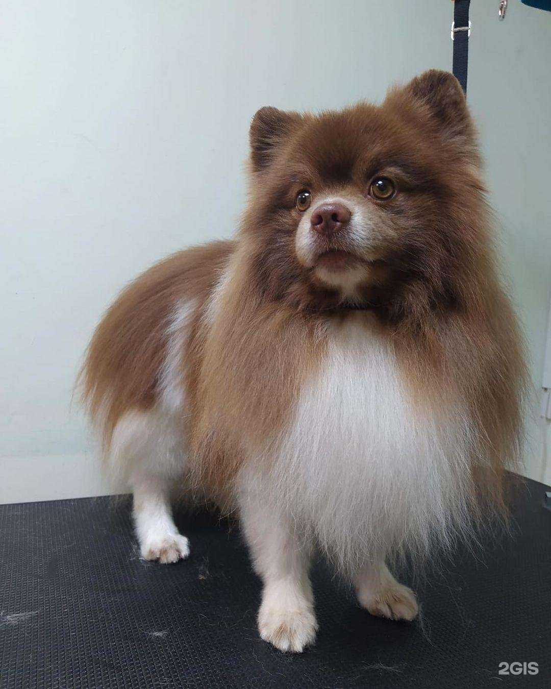 Отзывы на компанию Олли Лоренс в Калининграде c фото