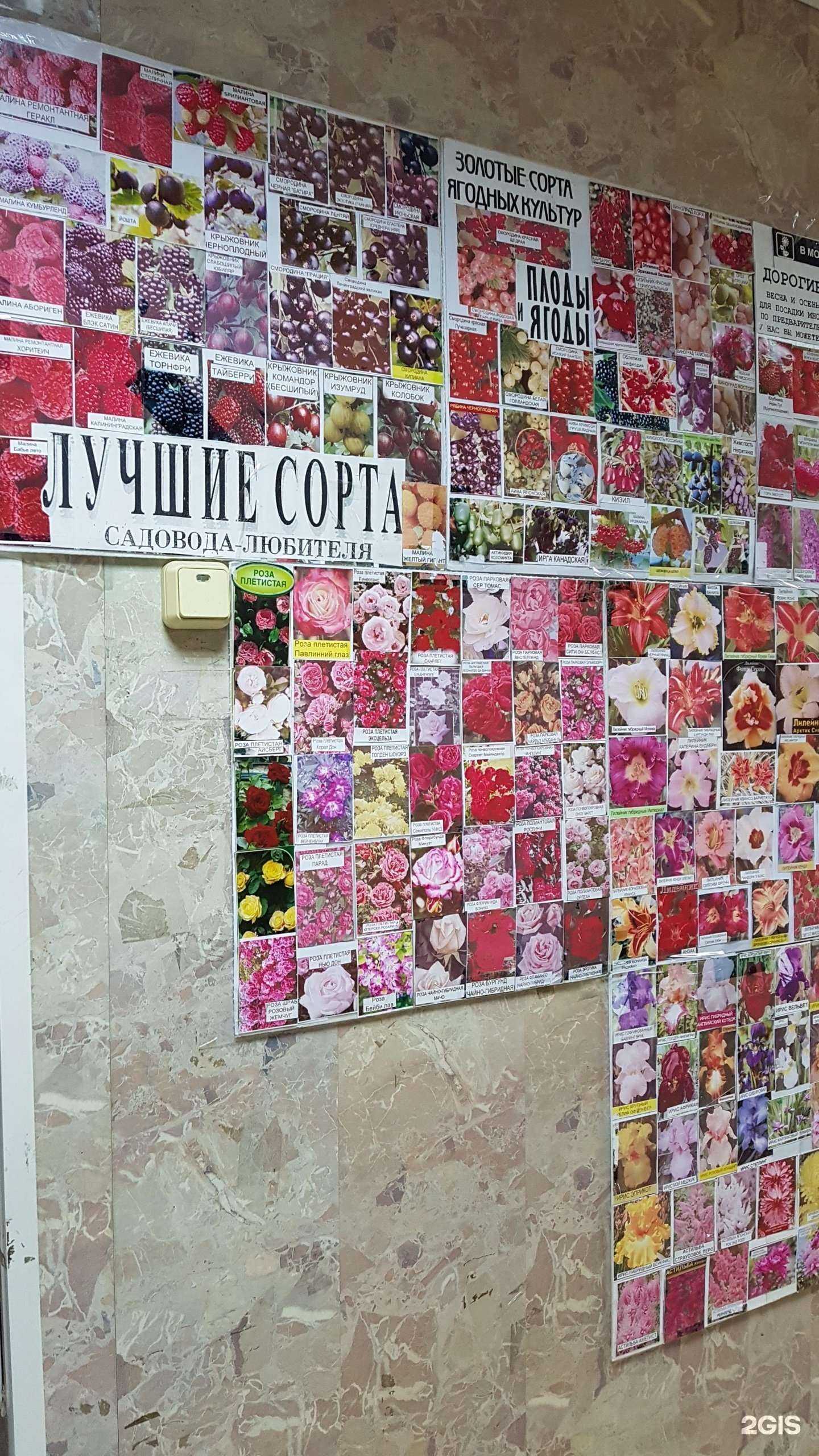 Отзывы на компанию В моем саду в Белгороде c фото