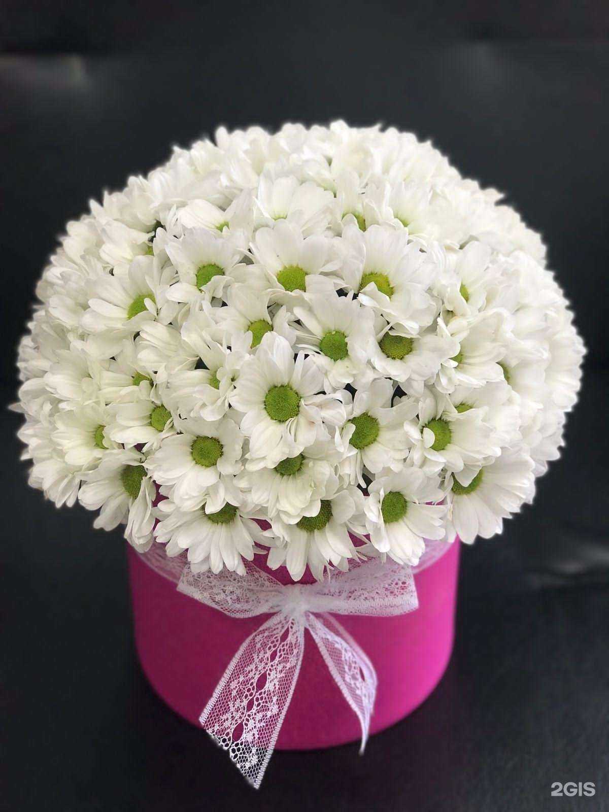 Отзывы на компанию Уфаоптроз в Уфе c фото