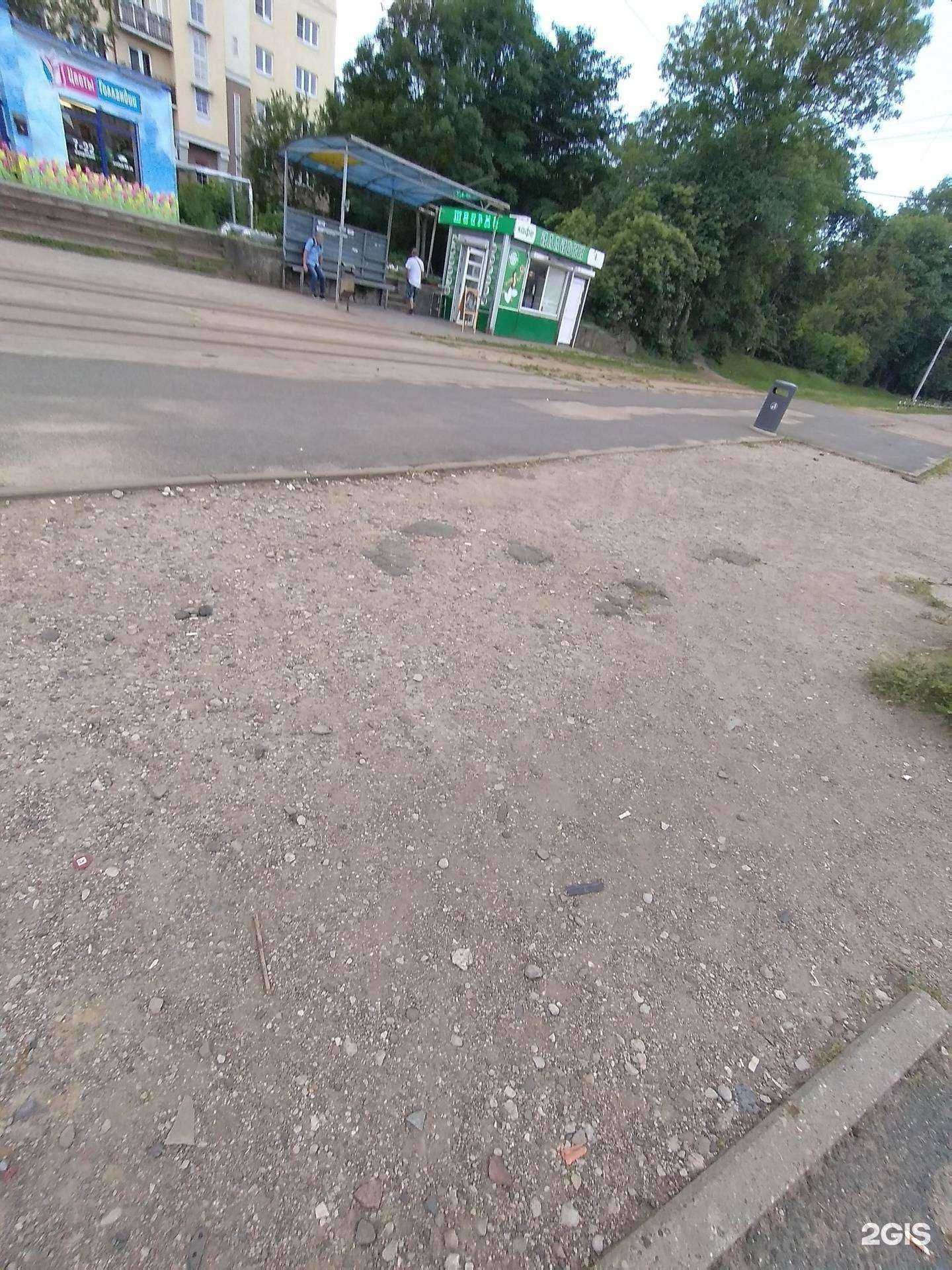 Отзывы на компанию Dragon в г. Калининград c фото