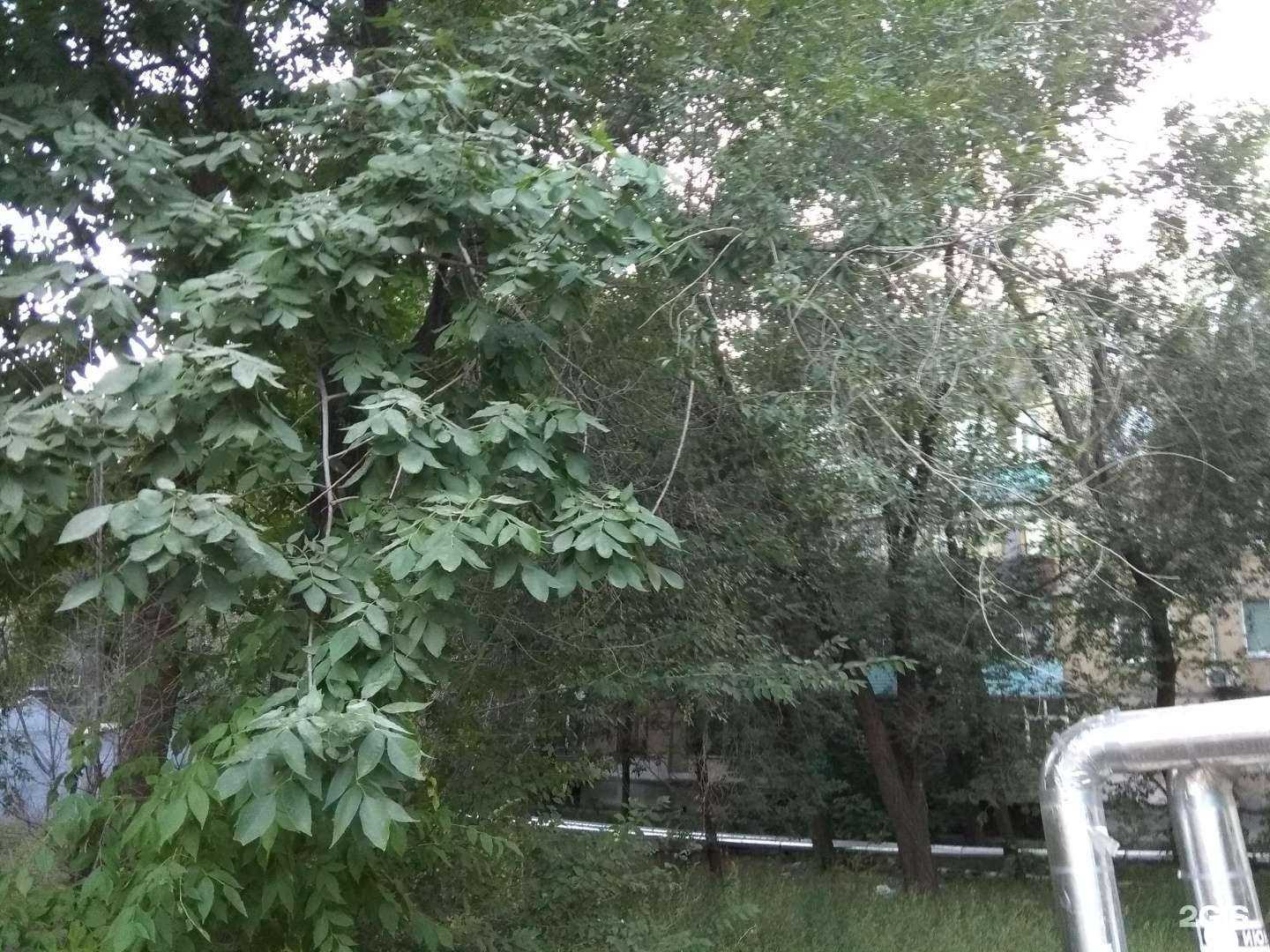 Отзывы на компанию Party market в Самаре c фото - фотография 2 из 2