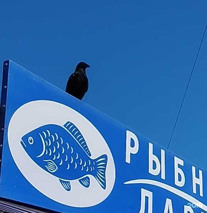 Отзывы на компанию Рыбная лавка в Красноярске c фото