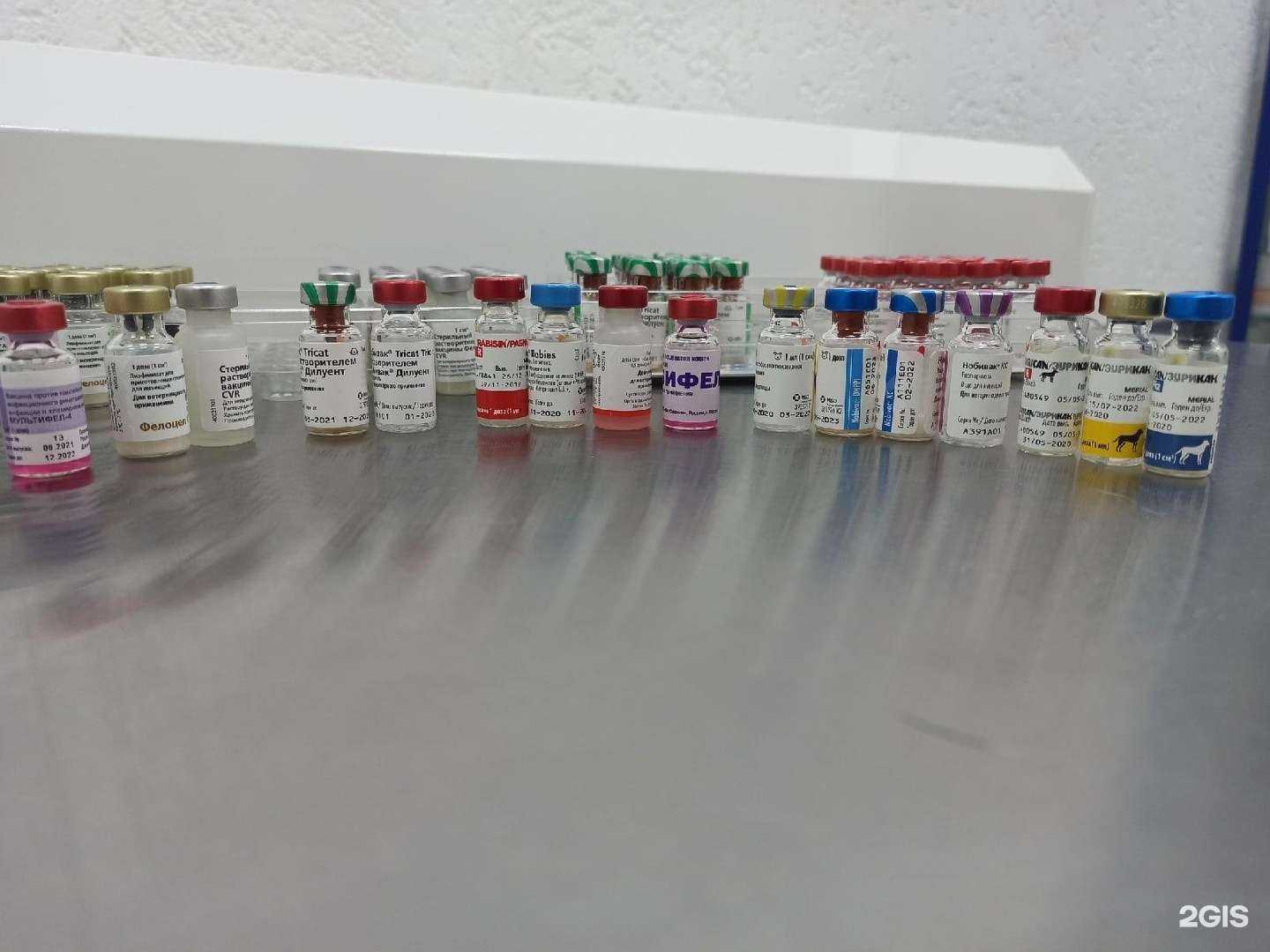 Отзывы на компанию ДоброВет в Ижевске c фото