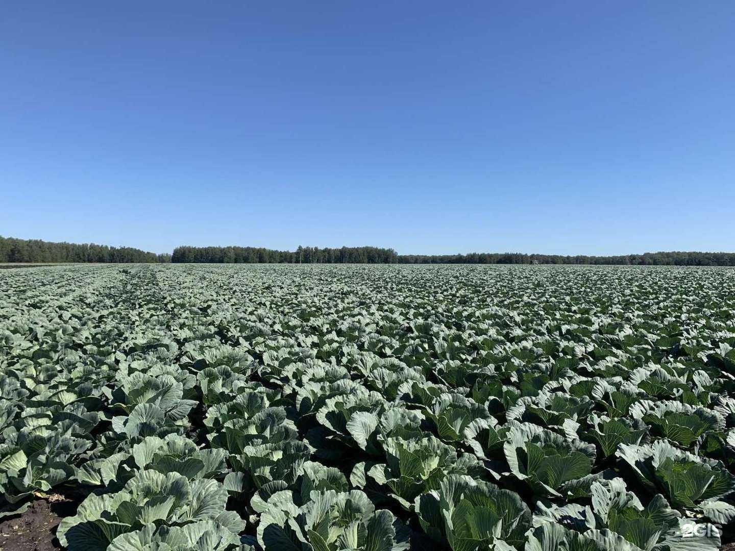 Отзывы на компанию Центр непрерывного аграрного образования в г. Ялуторовск c фото