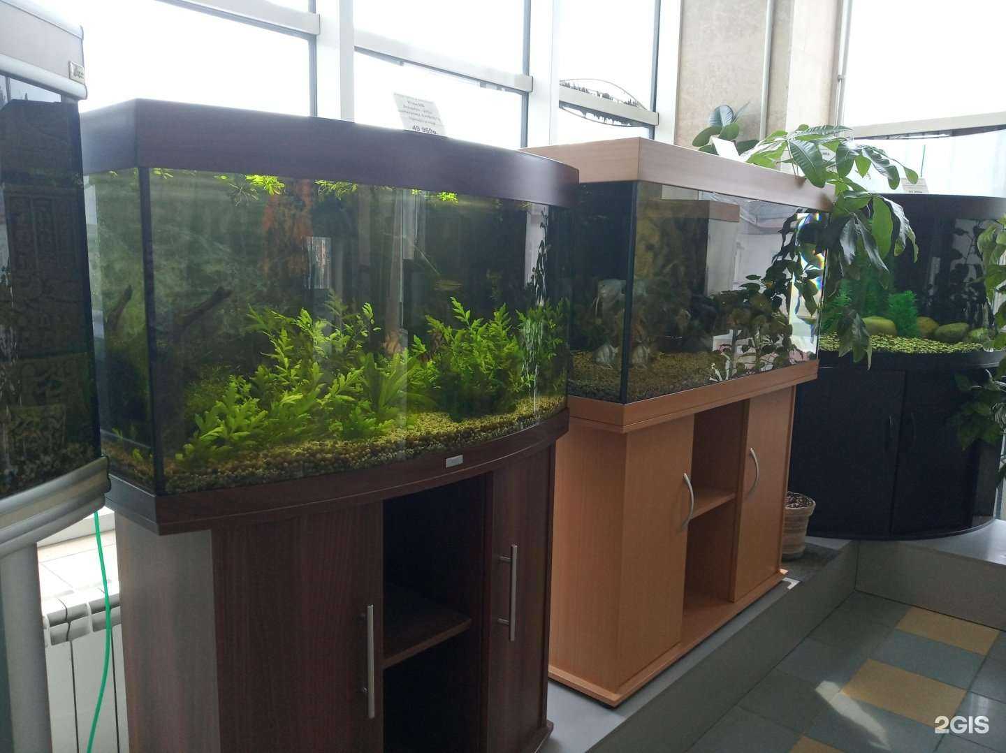 Отзывы на компанию АкваДизайн в г. Нижний Тагил c фото