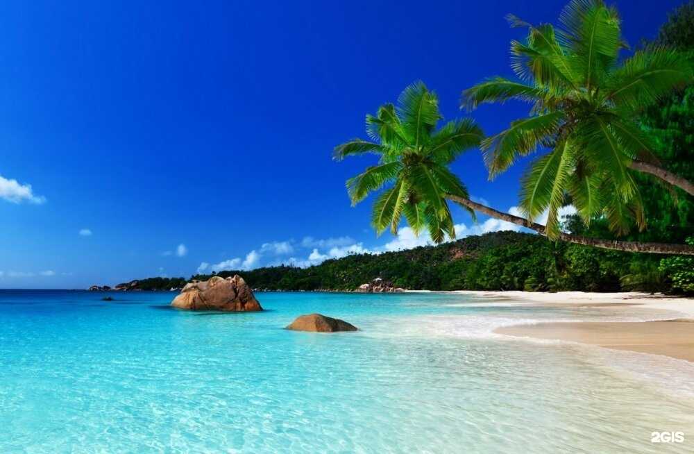 Отзывы на компанию Бон Вояж в Саранске c фото