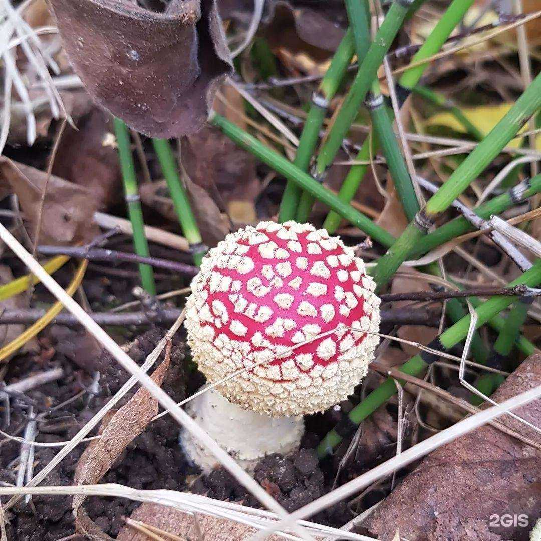 Отзывы на компанию Fishermannk в г. Нижнекамск c фото