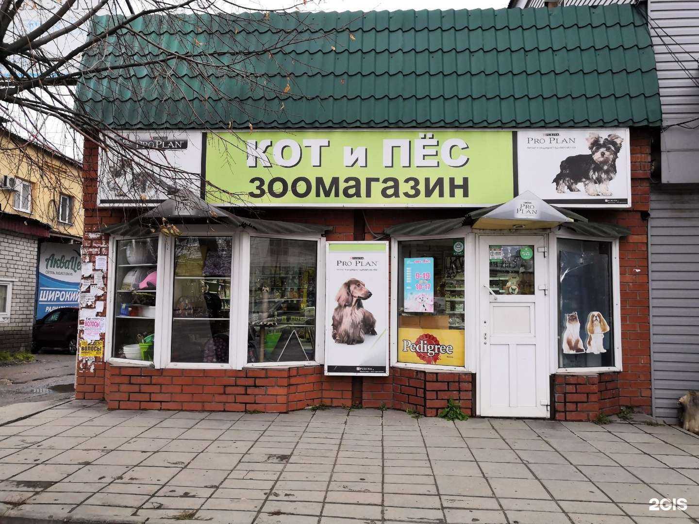 Отзывы на компанию Кот и пес в Липецке c фото