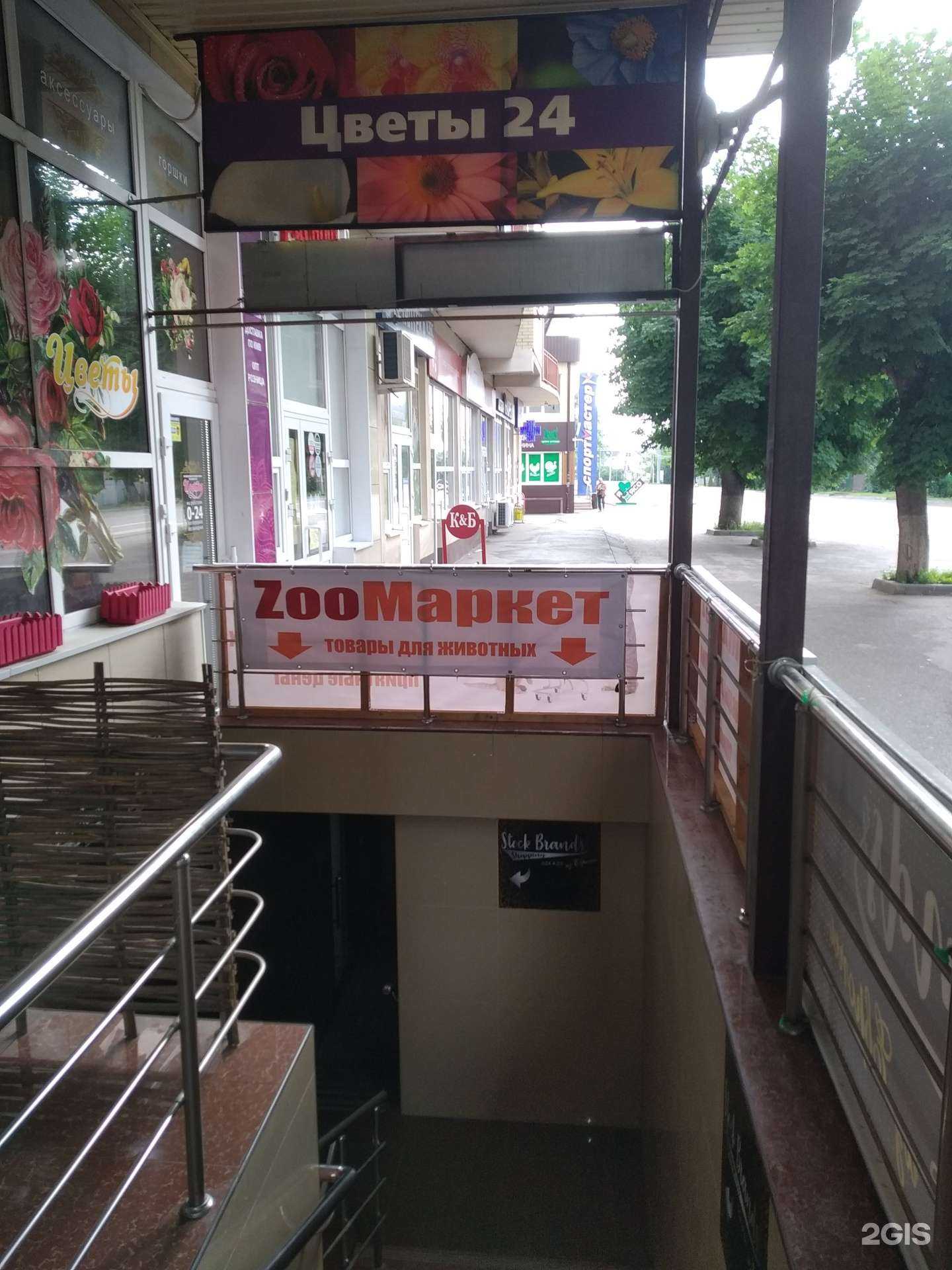 Отзывы на компанию Zooмаркет в г. Ессентуки c фото