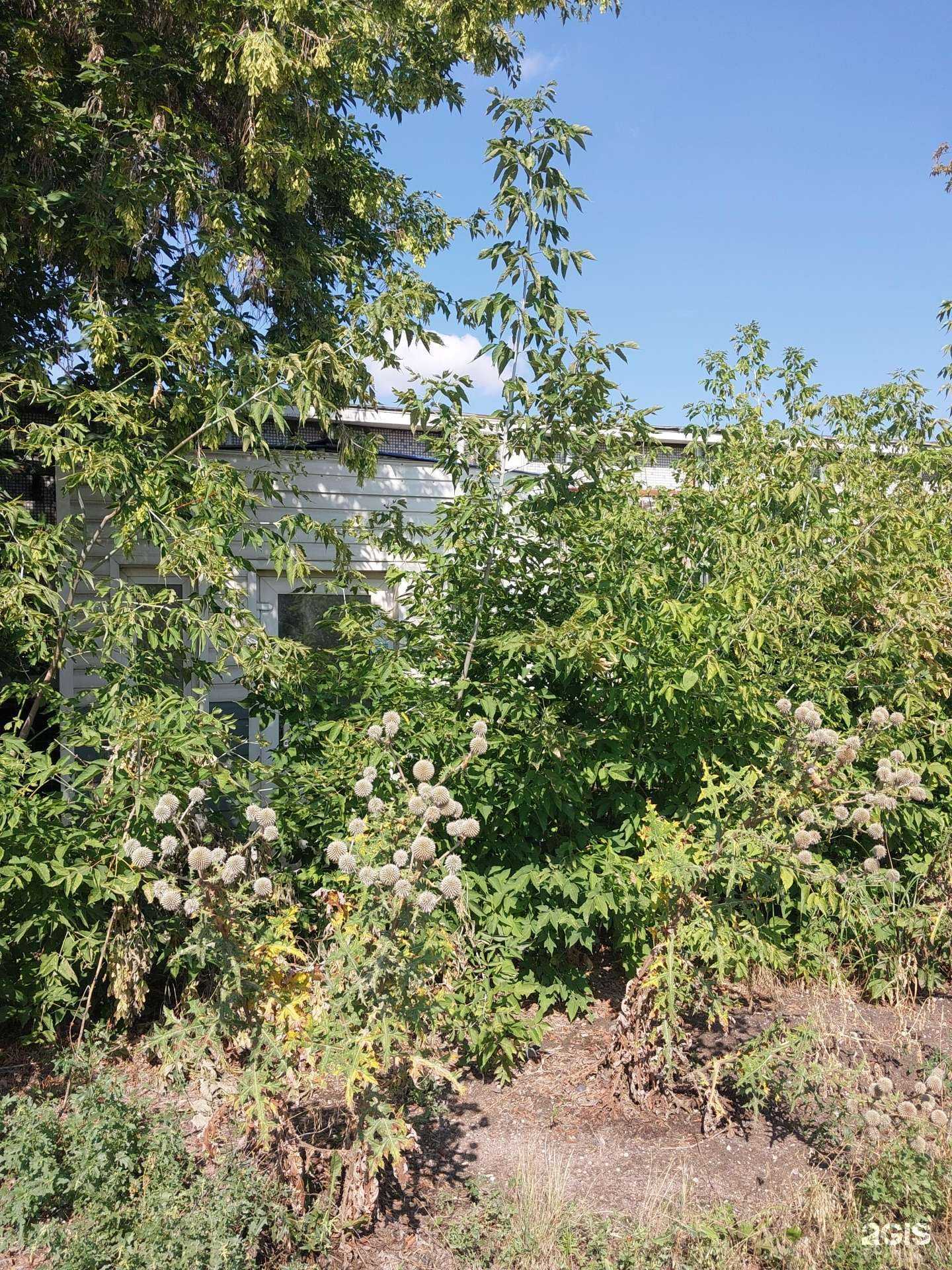 Отзывы на компанию Атк рассвет в Тольятти c фото