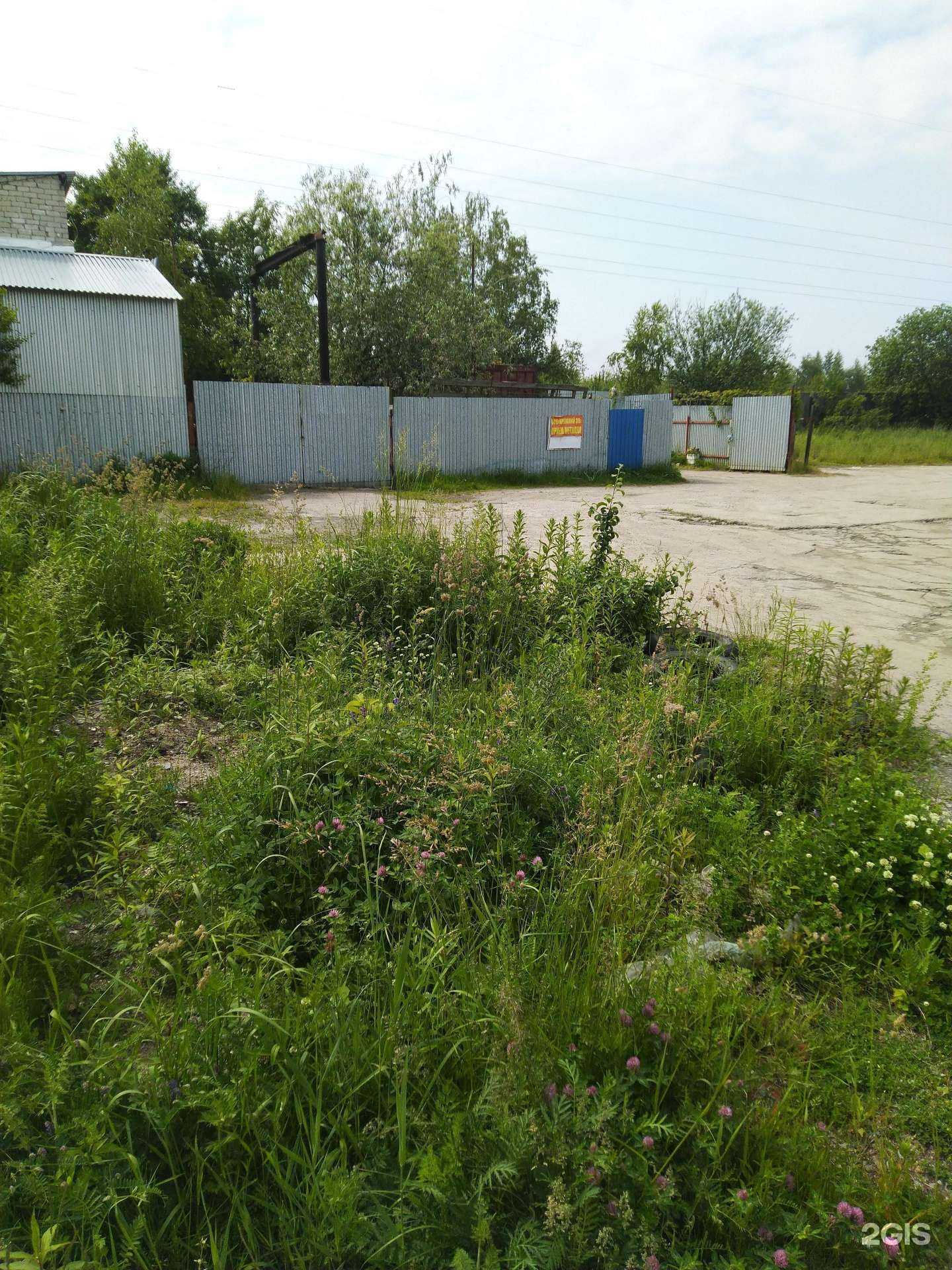 Отзывы на компанию Кремний 39 в Калининграде c фото