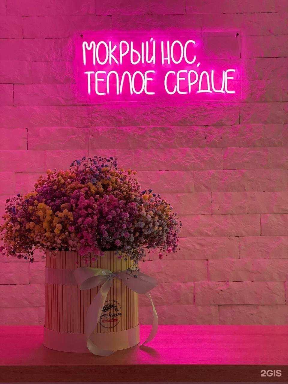 Отзывы на компанию Easygroom в г. Воронеж c фото