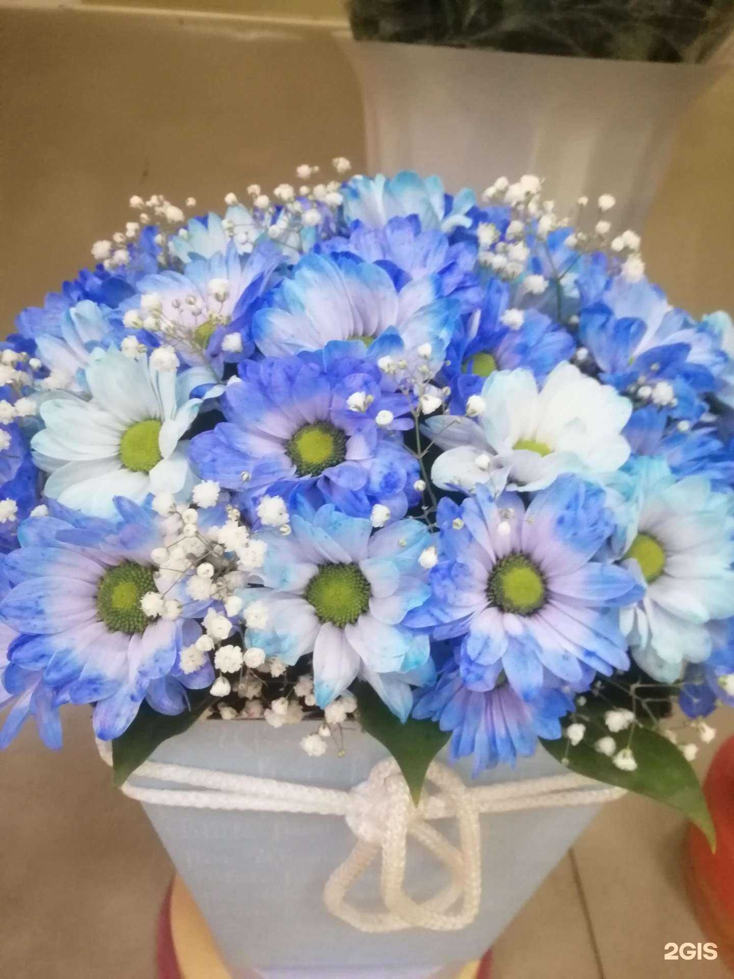 Отзывы на компанию Мир цветов в Нижневартовске c фото