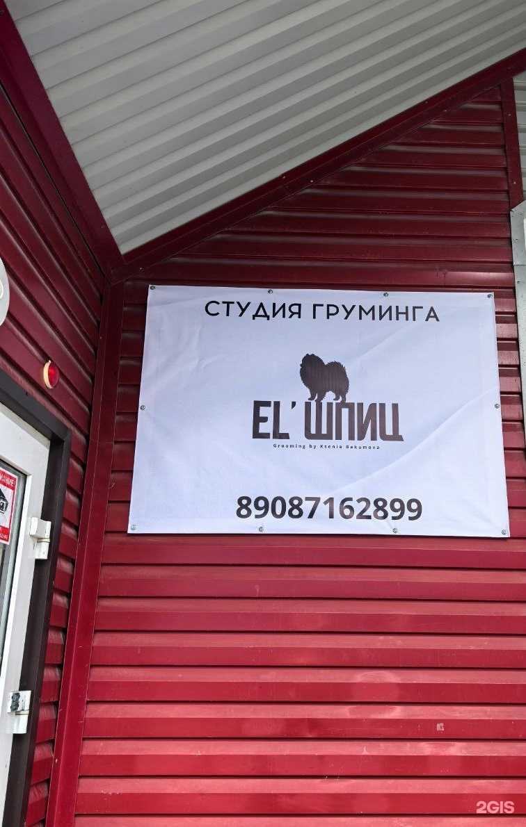 Отзывы на компанию EL’шпиц в Сыктывкаре c фото