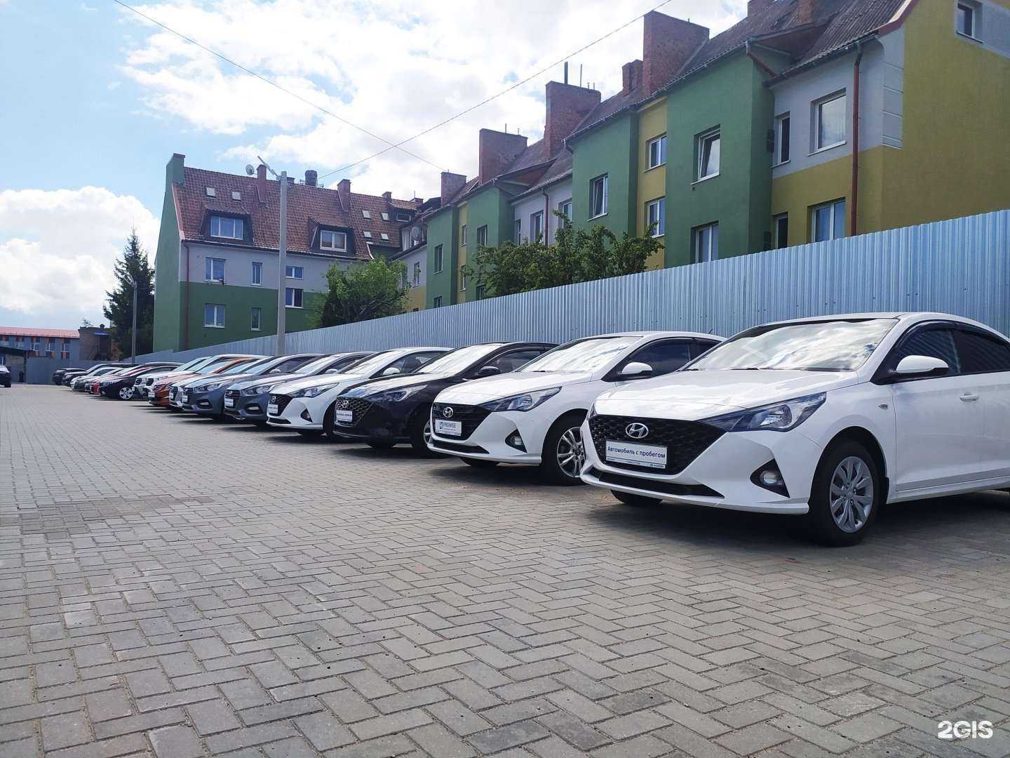 Отзывы на компанию Динамикатрейд в Калининграде c фото