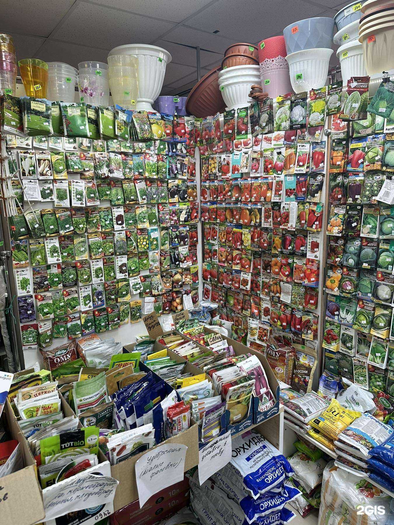 Отзывы на компанию Гудвин в г. Тольятти c фото