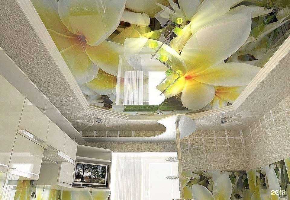 Отзывы на компанию Вертекс в г. Бийск c фото