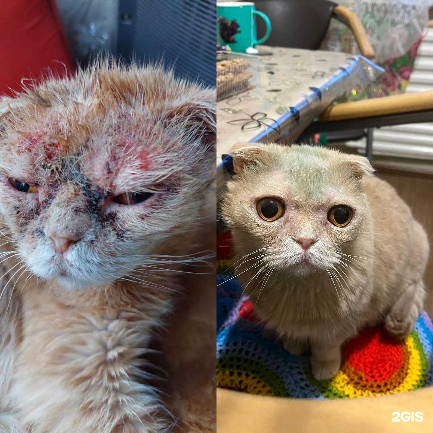 Отзывы на компанию ВетЭксперт в Уфе c фото