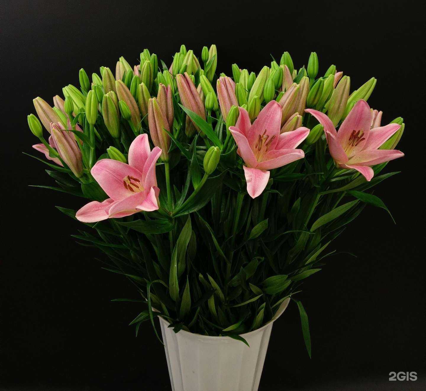 Отзывы на компанию Букет в г. Дубна c фото