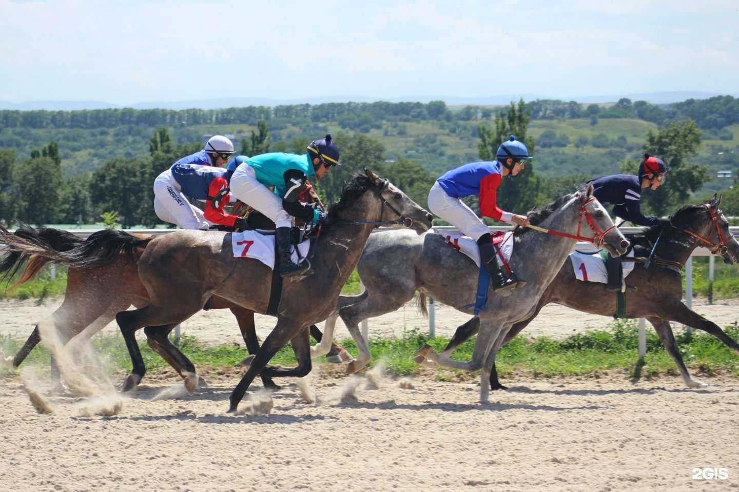 Отзывы на компанию Насиб в Пятигорске c фото - фотография 2 из 2