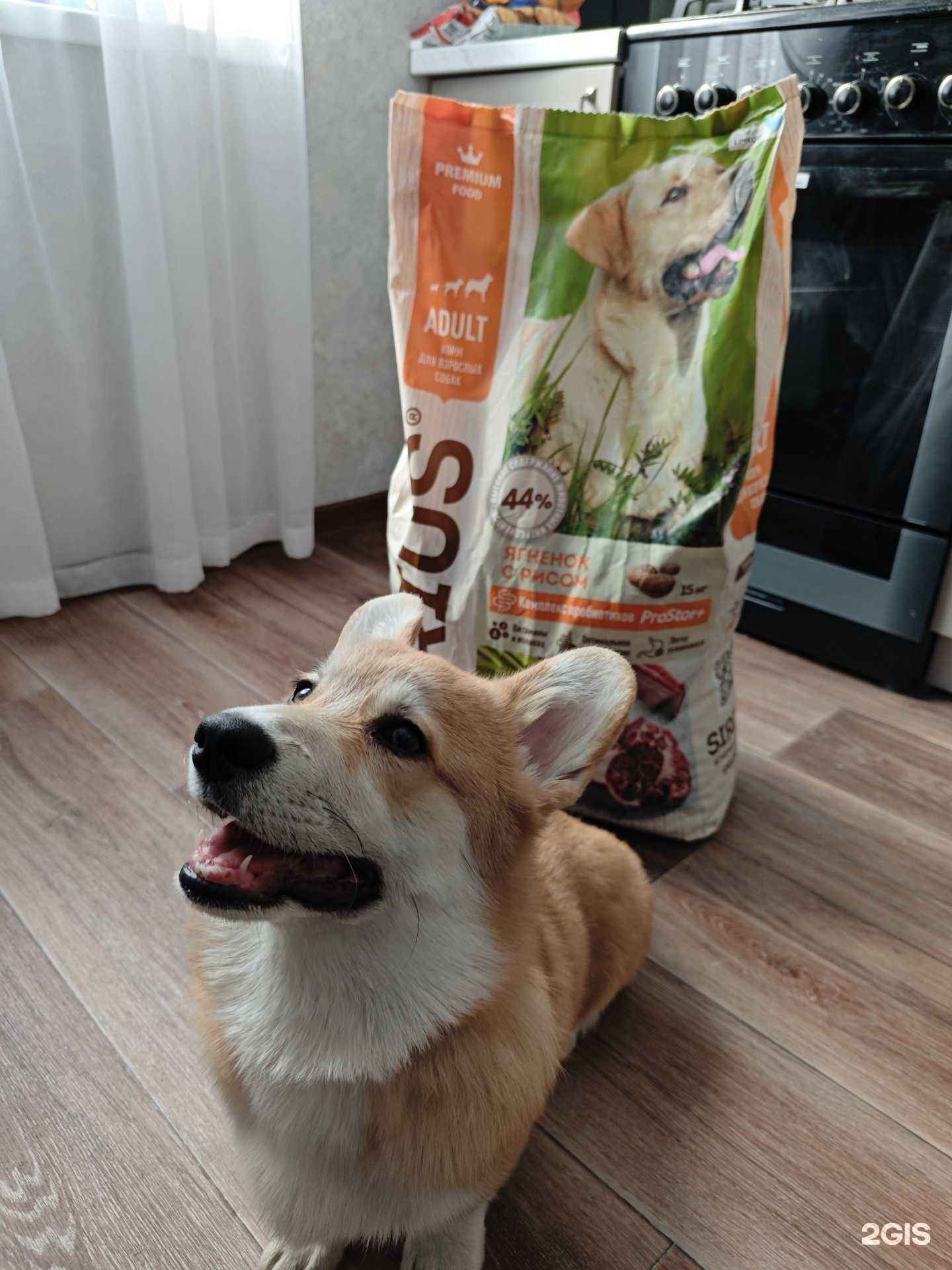 Отзывы на компанию Пушистик в г. Магнитогорск c фото