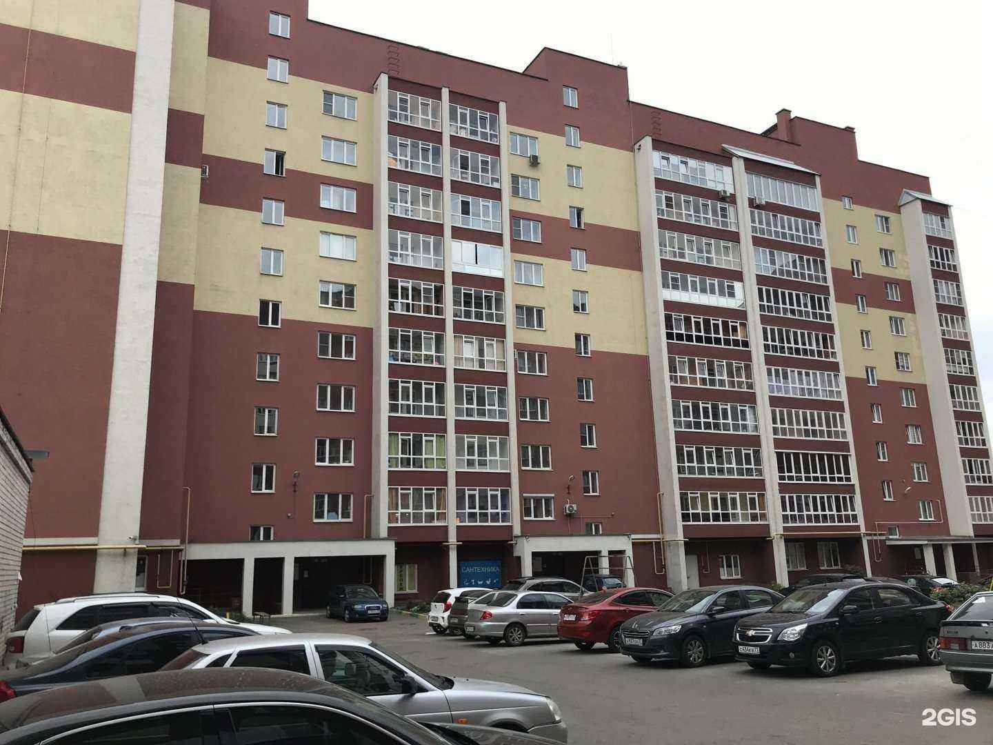 Отзывы на компанию Магазин зоотоваров в Иванове c фото - фотография 2 из 2