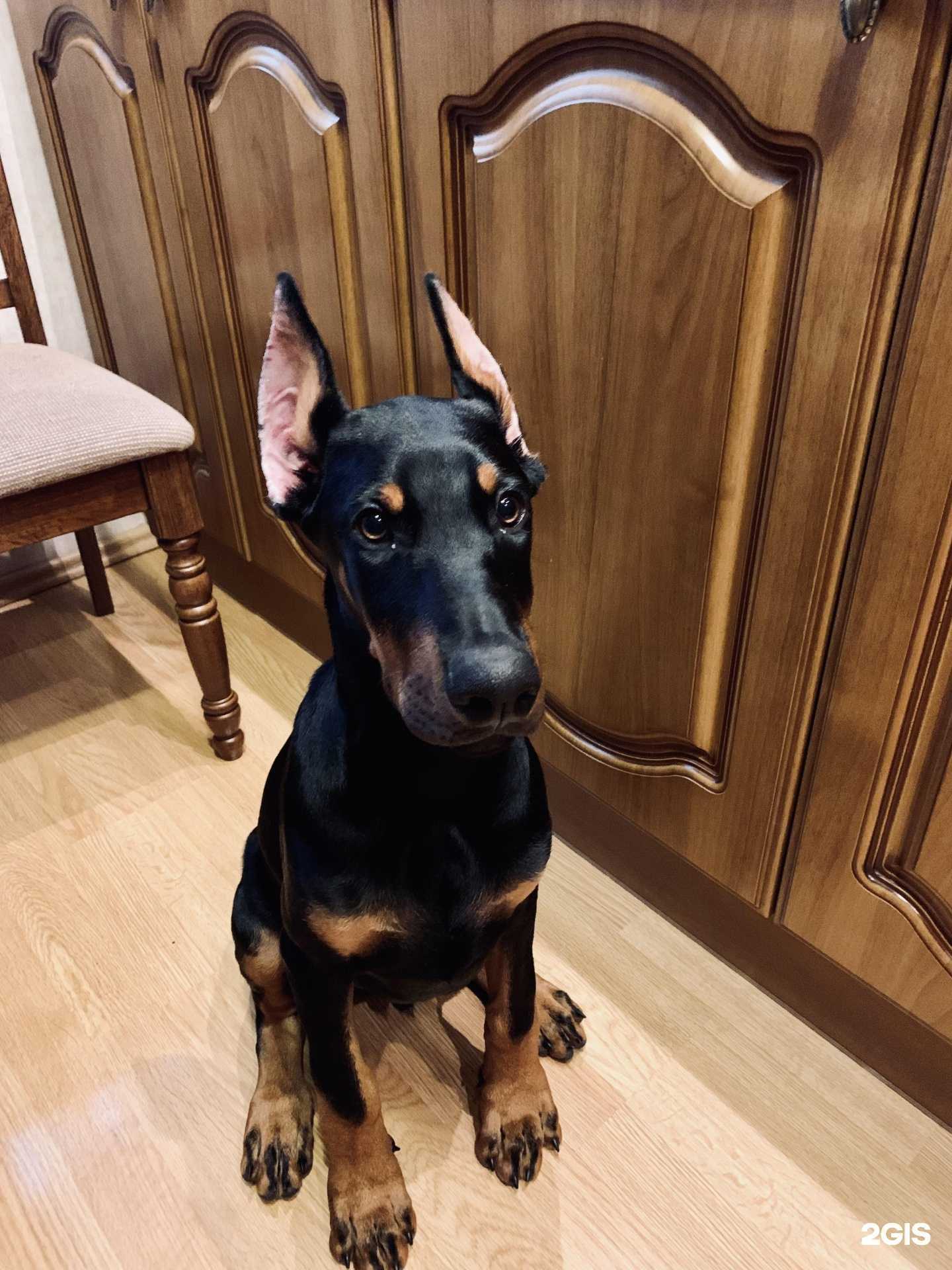 Отзывы на компанию Друг в г. Находка c фото