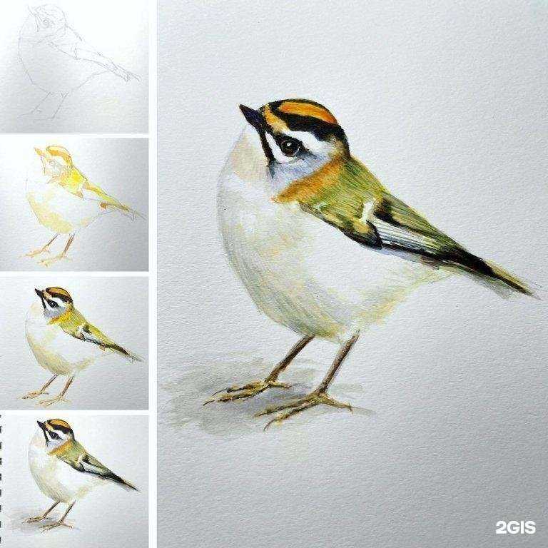 Отзывы на компанию Детская художественная школа №1 г. Астрахани в Астрахани c фото