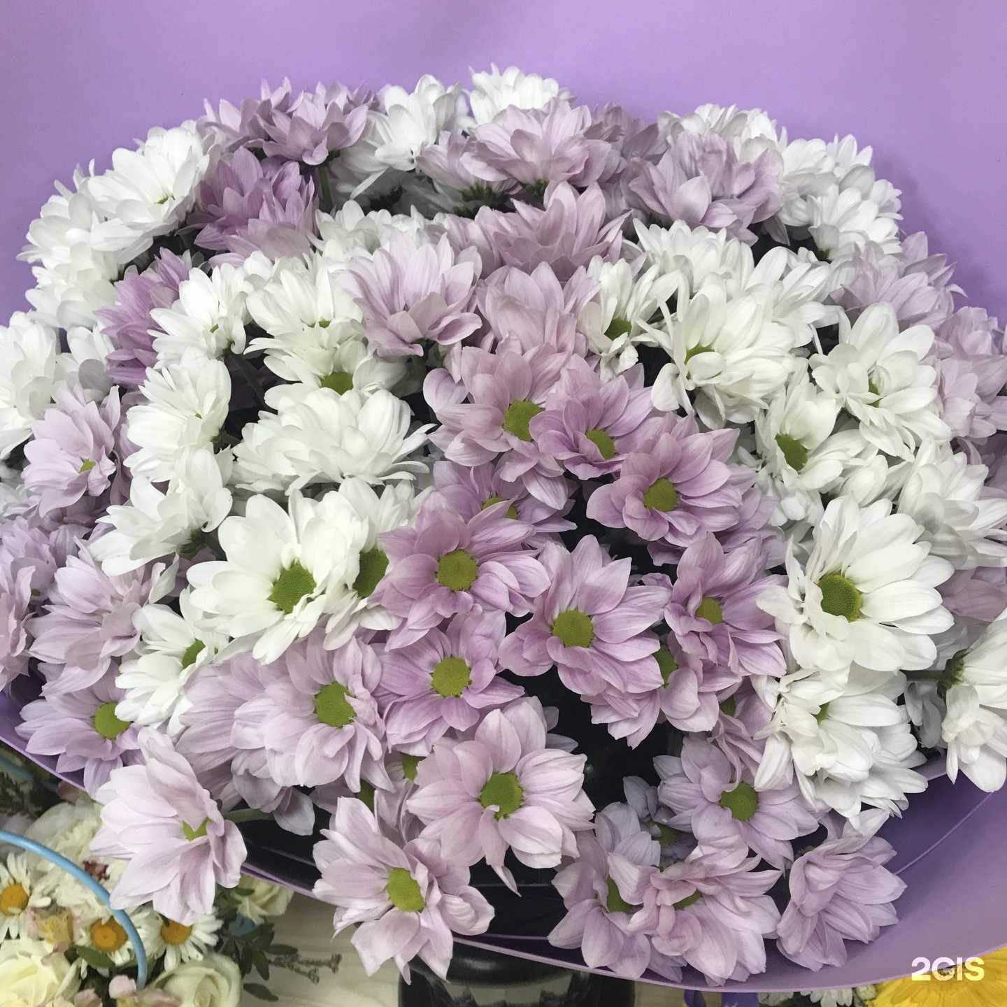 Отзывы на компанию Цветочная база N13 в г. Воскресенск c фото