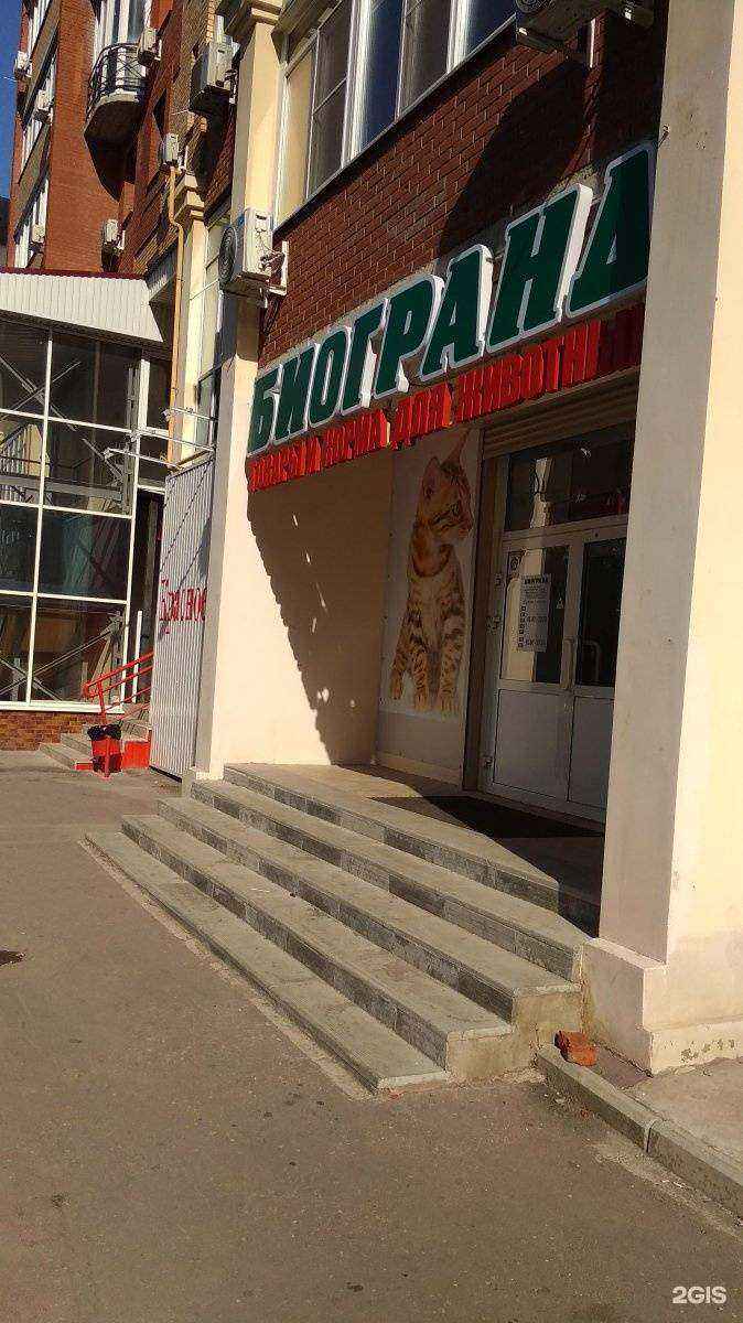 Отзывы на компанию Lil ballerine в Самаре c фото - фотография 2 из 2