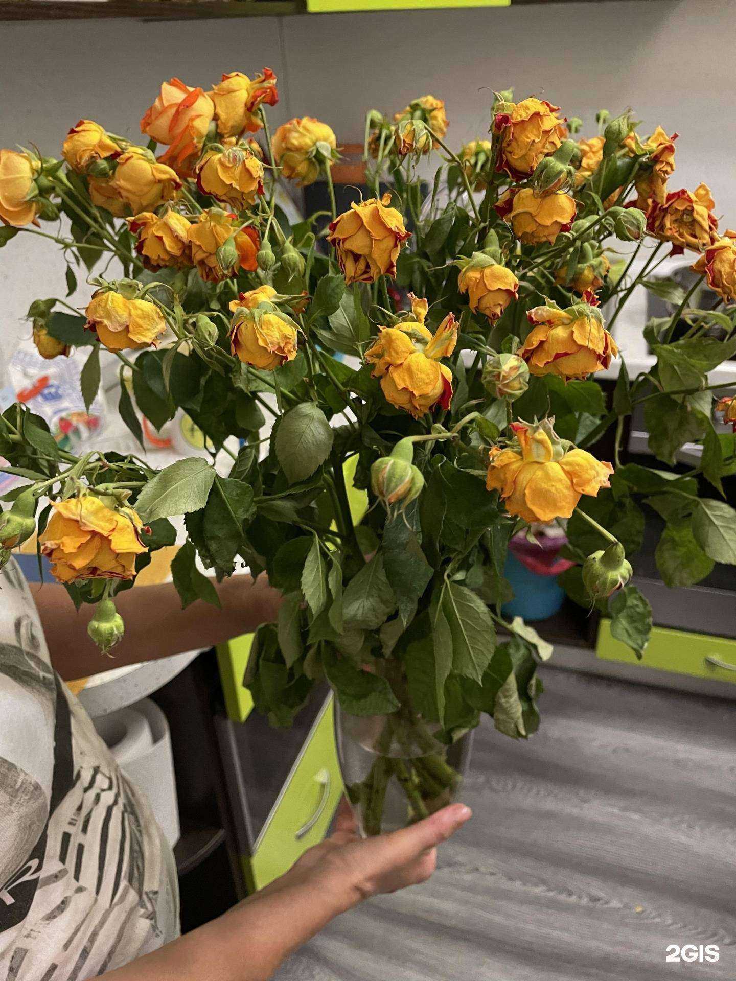 Отзывы на компанию Цветочная база №1 в Хабаровске c фото