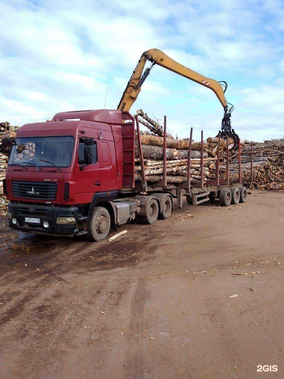 Отзывы на компанию Доктор-М в Елабуге c фото - фотография 2 из 2