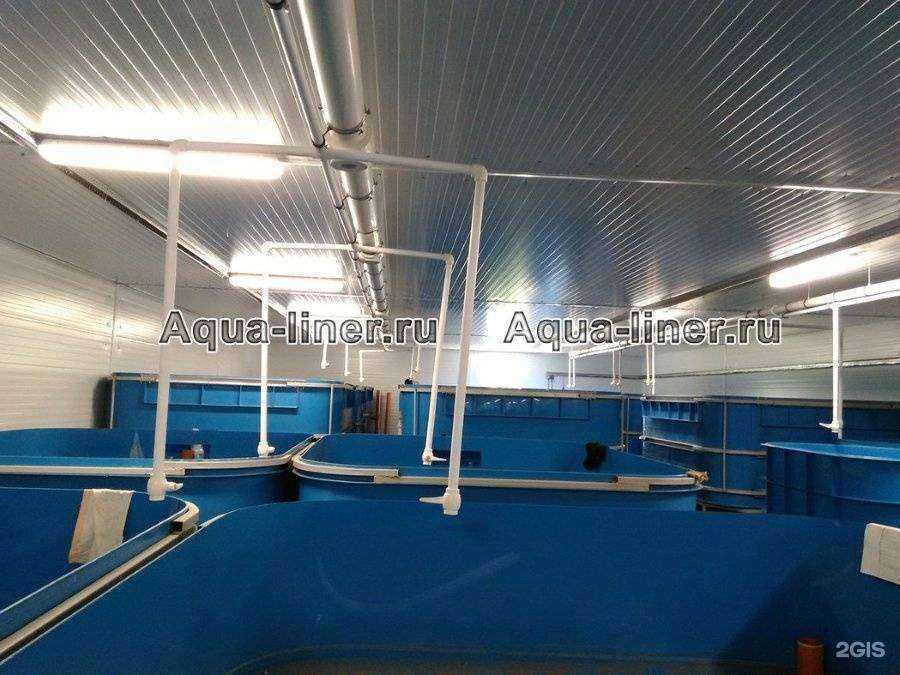Отзывы на компанию Аквалайнер в Владимире c фото